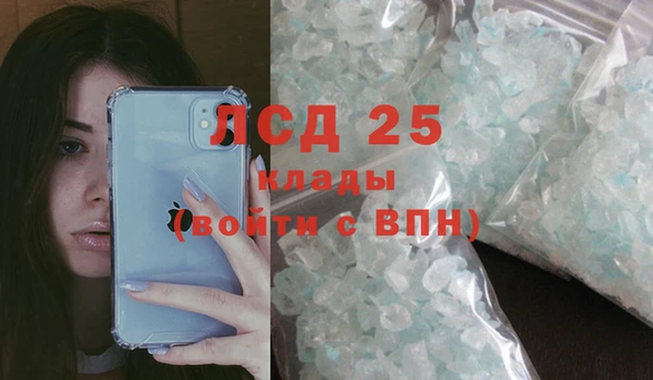 стаф Новозыбков