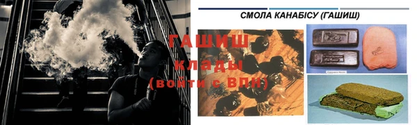 стаф Новозыбков