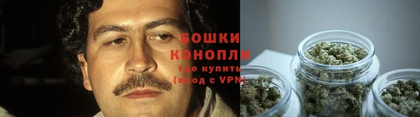 стаф Новозыбков