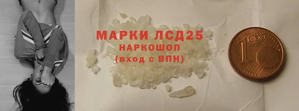 стаф Новозыбков