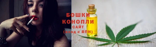 сатива Нягань