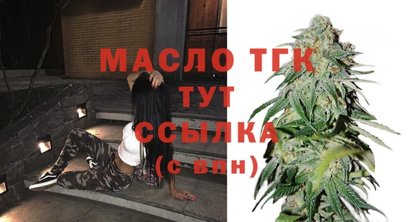 стаф Новозыбков