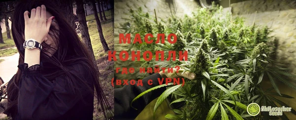 стаф Новозыбков