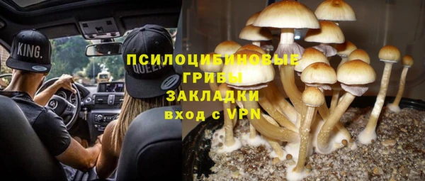сатива Нягань