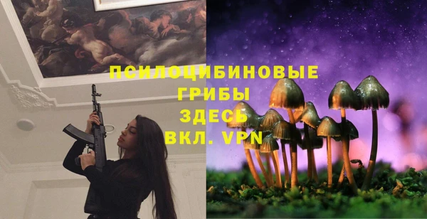 стаф Новозыбков