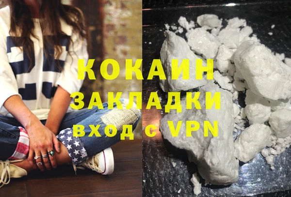 стаф Новозыбков